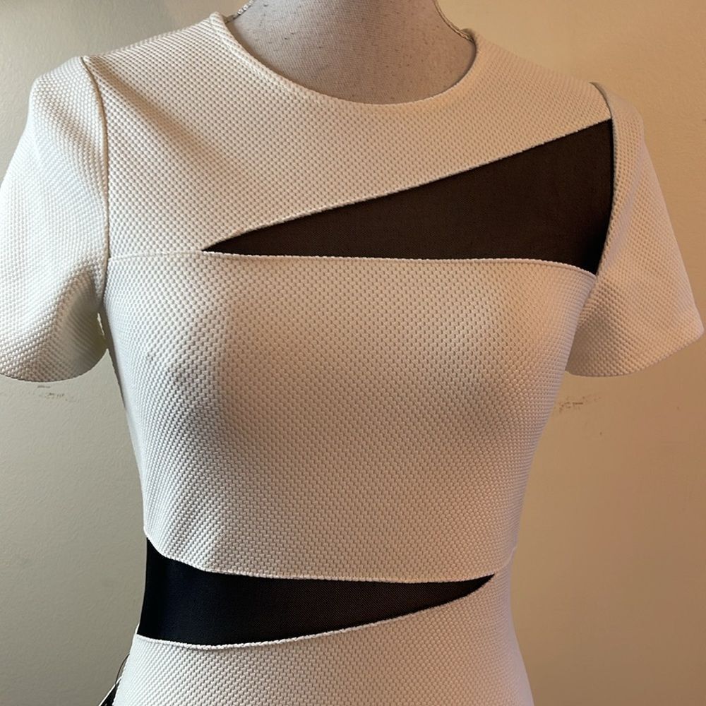 Express BodyCon Dress - Picture 2 of 11